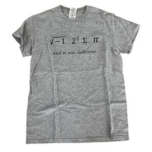 “I ate some pie, and it was delicious” Gildan Gray Math Graphic Unisex Tee